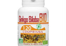 GPH Diffusion Ginkgo Biloba Bio 300mg 120 Comprimes