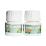 Phyto Systeme Thé Vert Et Ail 60 Gélules